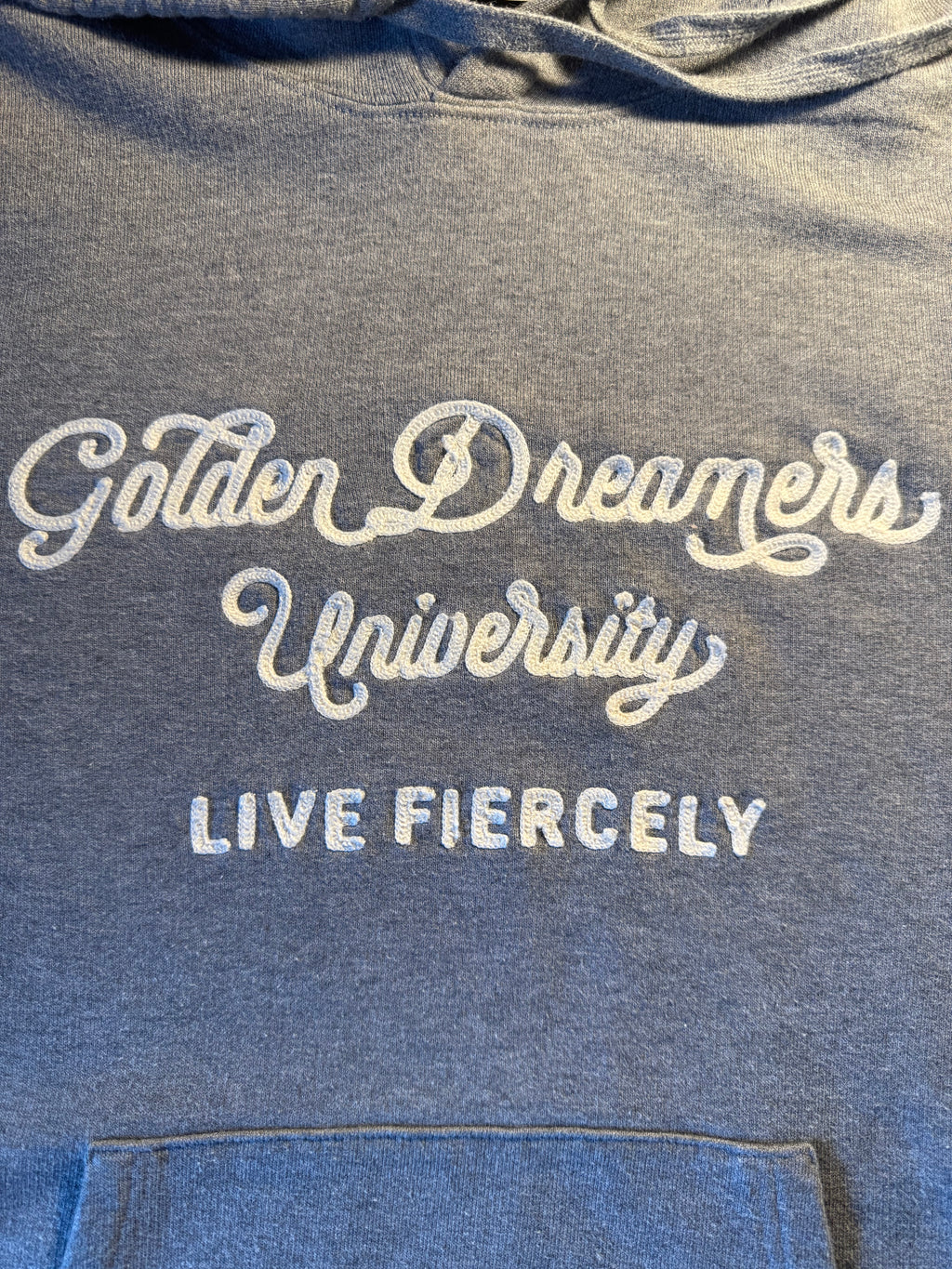 Felpa Golden Goose "Golden Dreamers University" grigia
